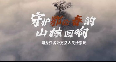 以法的名义，守护鄂伦春的山林回响...... 